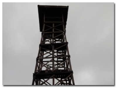 Perlindungan Hutan AHL