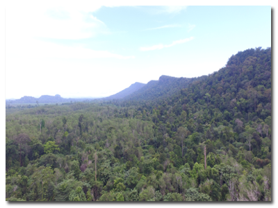 Perlindungan Hutan AHL